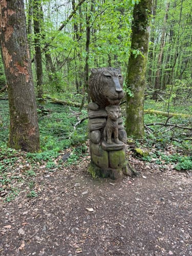 Hartfüßler Trail 30km