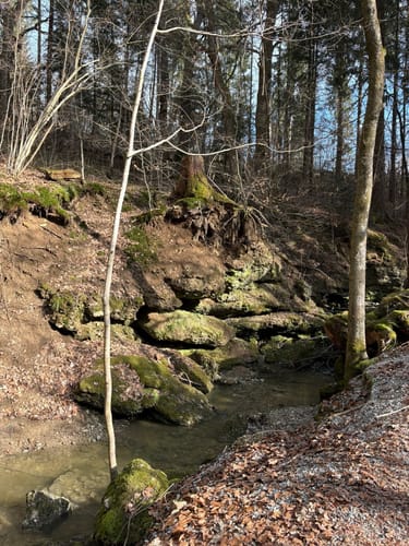 Maisinger Schlucht Rundweg