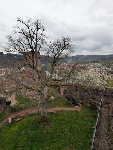 Burg Wertheim