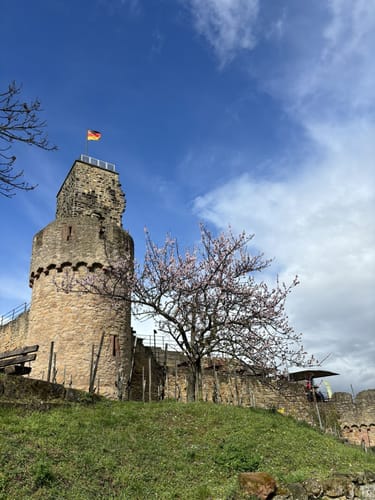 Zur Wachtenburg über Michaelskapelle