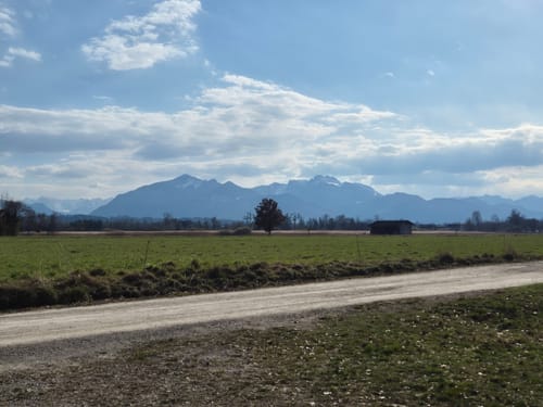 Lachsgang Beobachtungsturm