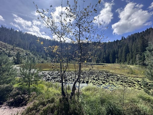 Zum Röterkopf und Huzenbachersee