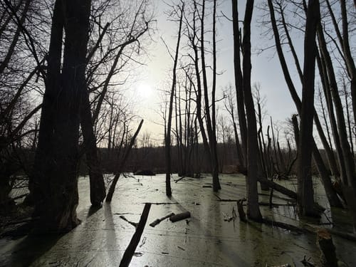 Broibachtal-Route