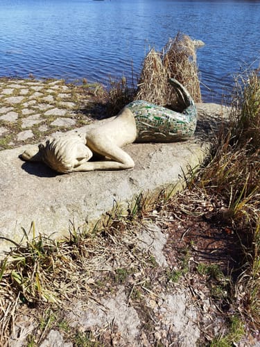 Rund um den Hammersee