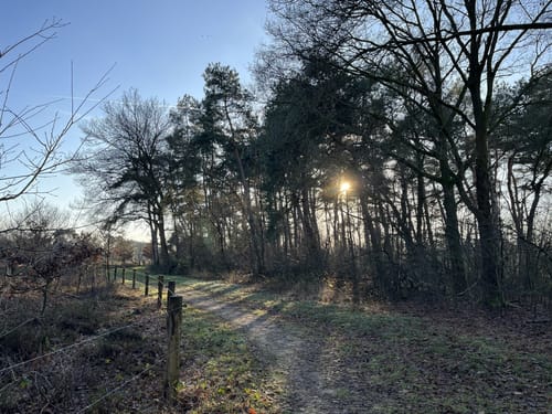 Rammelbeek Paarse Wandelroute