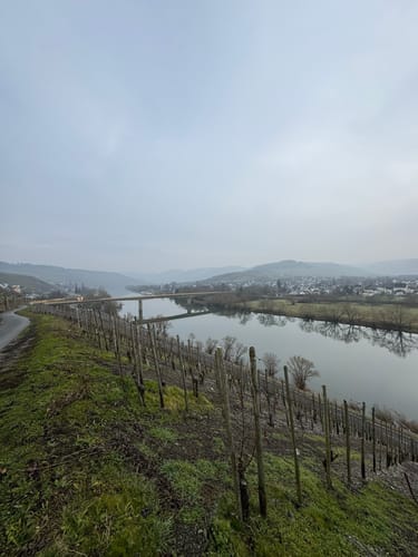 MTB Tour: Wintrich - Mülheim an der Mosel - Minheim