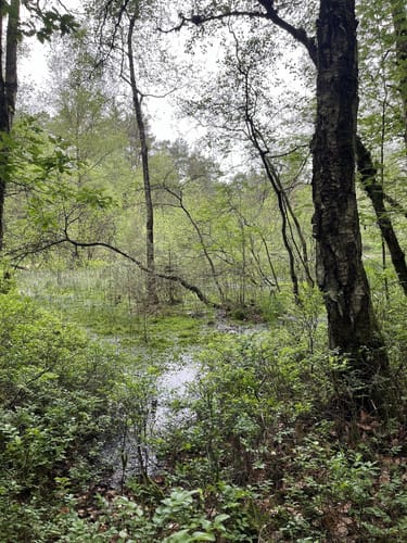 Romantisches Furlbachtal