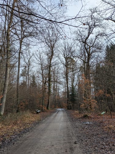 Wanne - Leichts weg -Friedwald Schönbuch