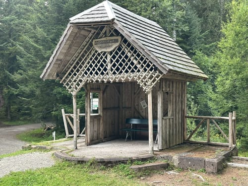 Tannenriesen (Premiumwanderweg)