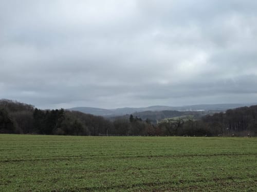 5-Weiher-Tour (Premiumwanderweg)