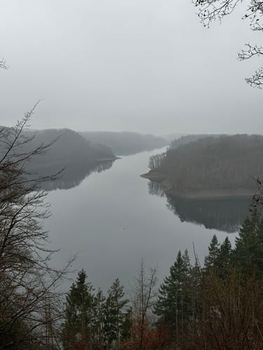Ringelsteinweg