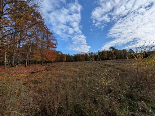 Ohligser Heide Rundweg