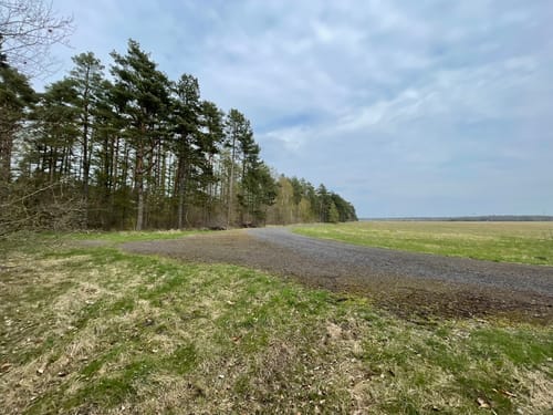 Kleine Waldrunde Springhirsch