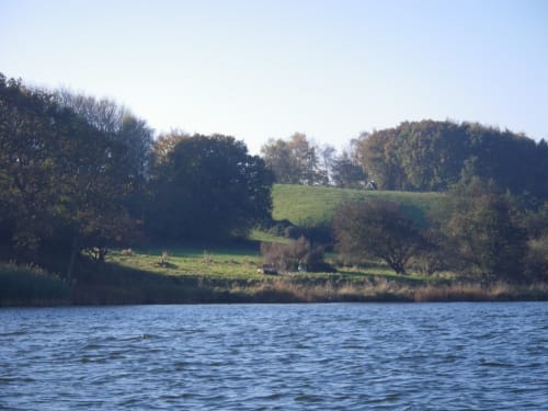 Paddeltour Schlei: Haddeby - Missunde
