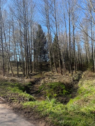 Runde am Wolfsteich