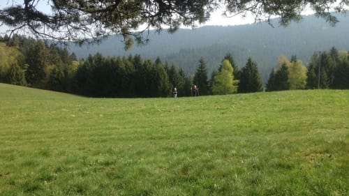 Rundwanderung um Reinerzau