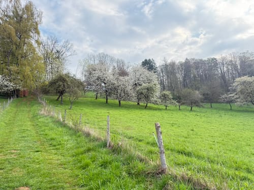 Kleedorf - Felsnadel - Langenstein - Vorra