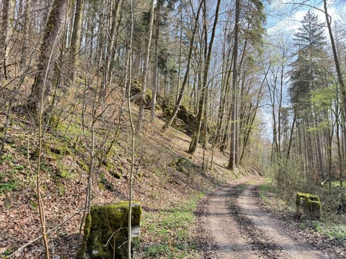 Kleedorf - Felsnadel - Langenstein - Vorra