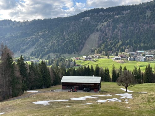 Zum Gelbhansekopf