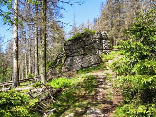 Rundweg: Braunlage - Königskrug -Achtermannshöhe