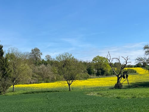 Brunnenweg (Geopfad Östringen)