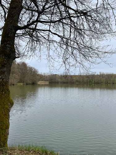 Grüner Steig und Seenweg durchs Westerburger Land
