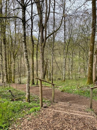 Grüner Steig und Seenweg durchs Westerburger Land