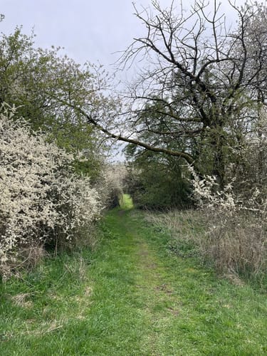 Grüner Steig und Seenweg durchs Westerburger Land