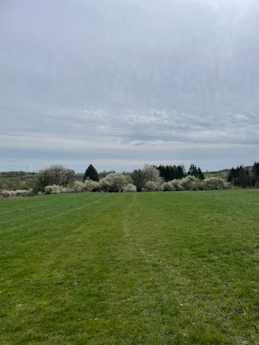 Grüner Steig und Seenweg durchs Westerburger Land