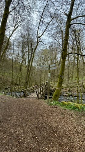 Grüner Steig und Seenweg durchs Westerburger Land