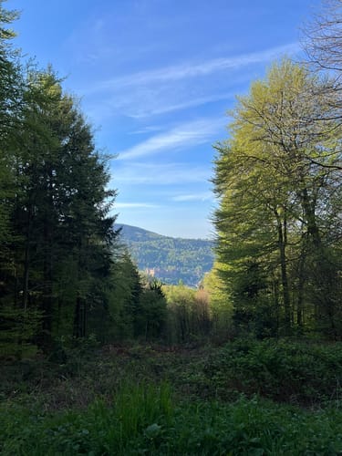 Zum St. Michaelskloster auf dem Heiligen Berg