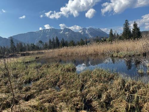 Moor-Erlebnis-Pfad Inzell