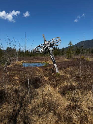 Moor-Erlebnis-Pfad Inzell