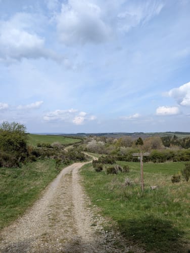 Der Wadenbeißer