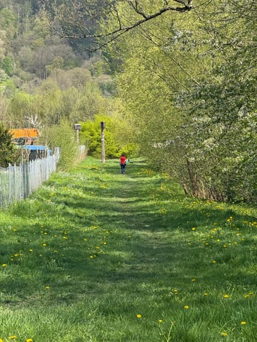 Hörschbachwasserfälle