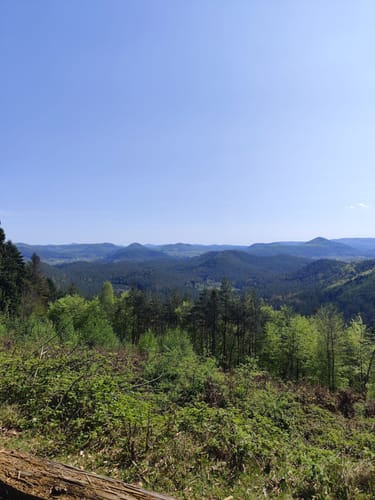 Eyberg Tour von Dahn