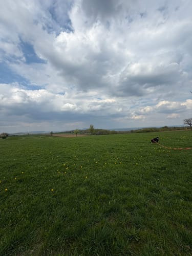 Lütmarsen Rundweg LM6
