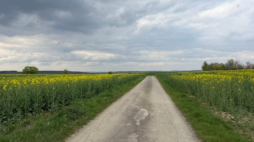 Lütmarsen Rundweg LM6