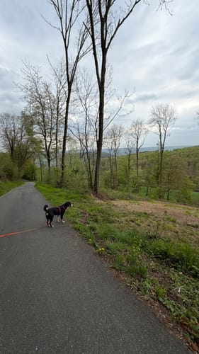 Lütmarsen Rundweg LM6