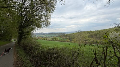 Lütmarsen Rundweg LM6