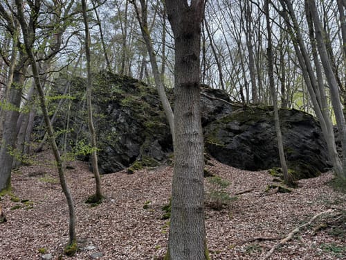 Entlang dem Liesenfelder Bach