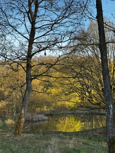 Entlang dem Liesenfelder Bach