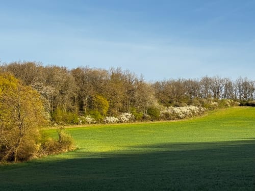 Entlang dem Liesenfelder Bach