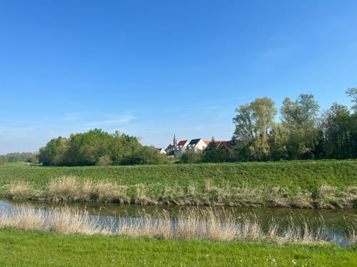 Entlang den Rheinauen