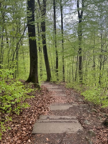 Hohenstein Rundweg