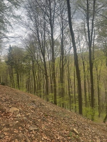 Hohenstein Rundweg