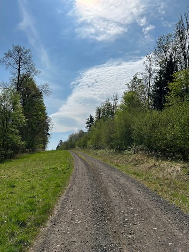 Schlüchtern Wanderweg SLÜ4