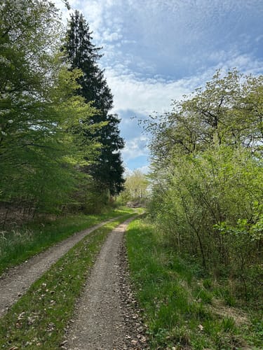 Schlüchtern Wanderweg SLÜ4