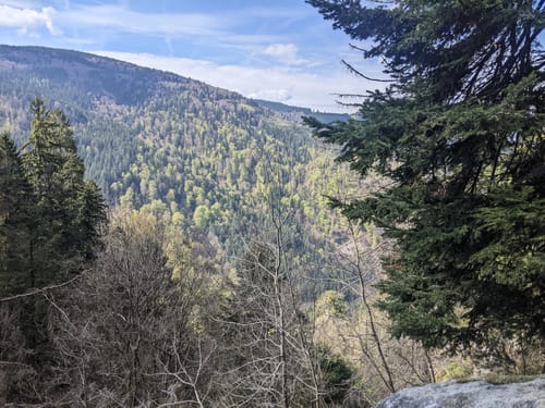 Rundwanderung Oberried
