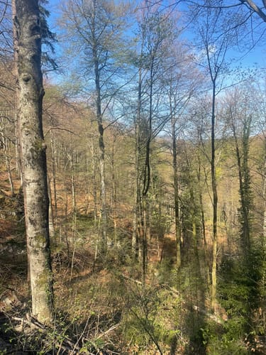 Zur Jocheralm über die Kesselbachfälle